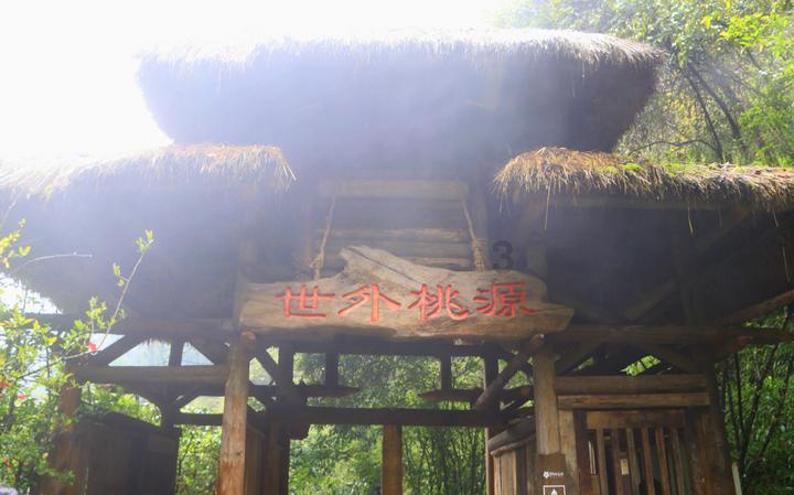 1春节为什么要吃饺子游戏画面
